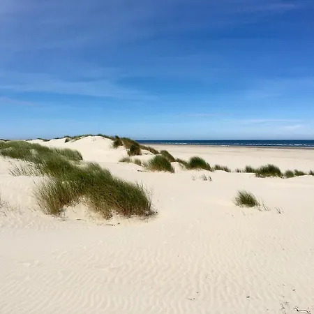 公寓 Haus Duenenkate Seeloewe