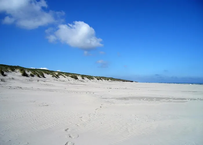 Apartamento Haus Dünenkate Seelöwe